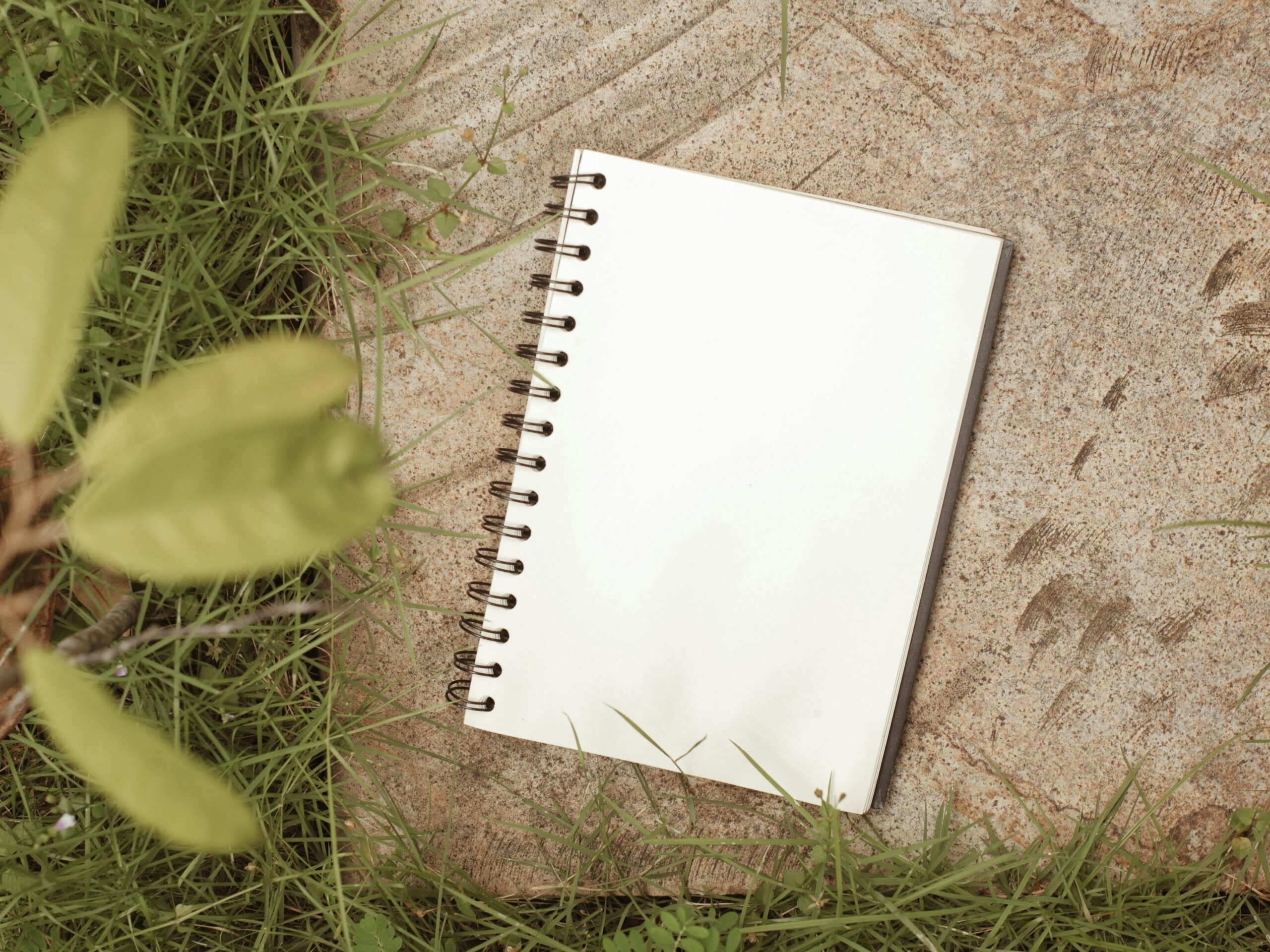 pexels roman odintsov 4925634 scaled Habit Ideas